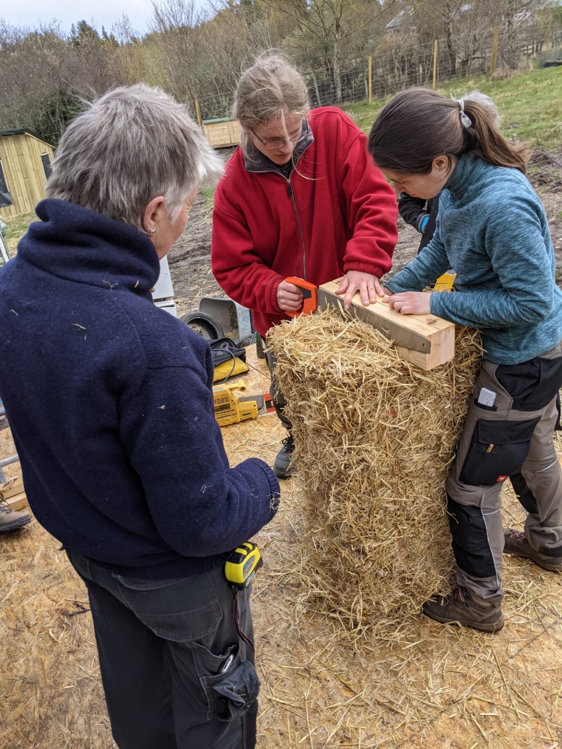 Courses - School Of Natural Building